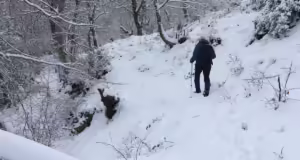 Καιρός: Χιόνια και τσουχτερό κρύο την Κυριακή στην βόρεια Ελλάδα – Σε ποιες περιοχές θα το στρώσει