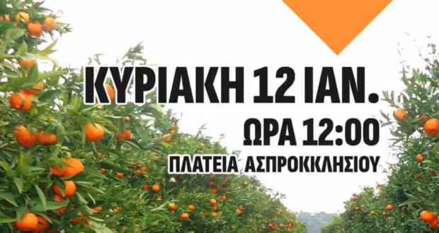 Πρώτη Γιορτή Μανταρινιού στον δήμο Φιλιατών