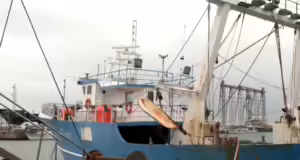 Μειωμένος ο τζίρος των αλιέων της Αλεξανδρούπολης