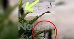 Επιδειξίας ποδηλάτης πλησίασε γυναίκα στο Παλαιό Φάληρο και άρχισε να αυνανίζεται – Βίντεο ντοκουμέντο