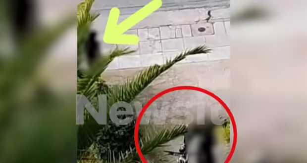 Επιδειξίας ποδηλάτης πλησίασε γυναίκα στο Παλαιό Φάληρο και άρχισε να αυνανίζεται – Βίντεο ντοκουμέντο