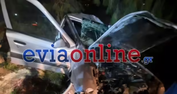 Θανατηφόρο τροχαίο στην Εύβοια: Αυτοκίνητο καρφώθηκε σε δέντρα – Νεκρός 45χρονος