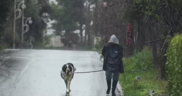 Καιρός σήμερα: Χαμηλές θερμοκρασίες και τοπικές βροχές