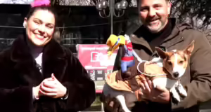 Το 2ο Dog Carnival στην Έδεσσα