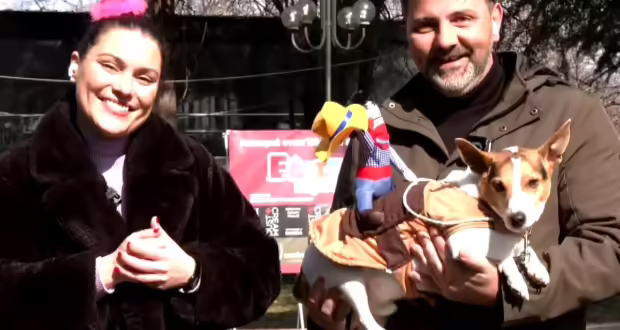 Το 2ο Dog Carnival στην Έδεσσα