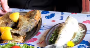 Το μοναδικό εκτροφείο πέστροφας στον Έβρο