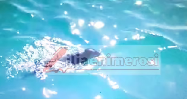 Ηλεία: Βίντεο με τη σκυλίτσα που διασώθηκε από σκάφος του Λιμενικού στο Κατάκολο