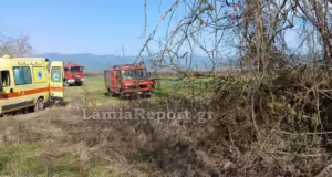 Φθιώτιδα: Νεκρός 60χρονος εργάτης – Κλαρί από πλάτανο τον χτύπησε στο κεφάλι την ώρα που προσπαθούσε να το απομακρύνει