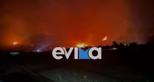 Φωτιά στην Κάρυστο Ευβοίας: Καίει σε χαμηλή βλάστηση στην περιοχή του Αγίου Δημητρίου