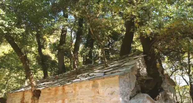 Αγία Θεοδώρα: Το γραφικό εκκλησάκι στην Αρκαδία με τα 17 δέντρα στην στέγη του