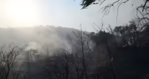 Φωτιά στην Καστοριά ανάμεσα στα χωριά Φωτεινή και Πολυκάρπη
