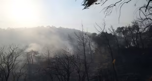 Φωτιά στην Καστοριά ανάμεσα στα χωριά Φωτεινή και Πολυκάρπη