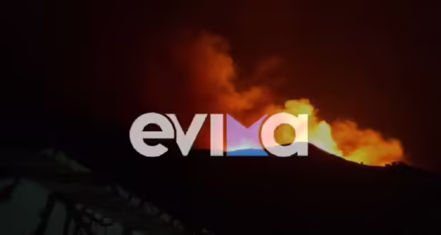Μεγάλη φωτιά στην Κάρυστο, σε δασική περιοχή