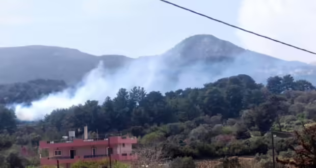 Φωτιά στη Σάμο – Κινητοποιήθηκαν 42 πυροσβέστες
