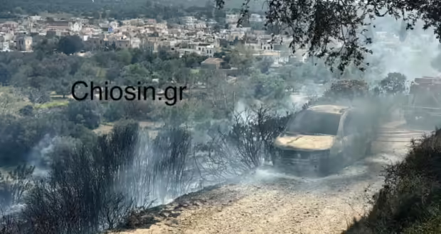 Φωτιά στη Χίο – Άμεση κινητοποίηση με 42 πυροσβέστες και 8 οχήματα