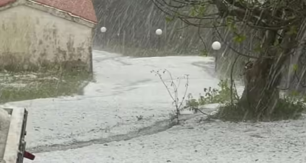 Καιρός: Καταστροφική χαλαζόπτωση σάρωσε το Κρυονέρι Ήλιδας στην Ηλεία – Μεγάλες ζημιές σε καλλιέργειες