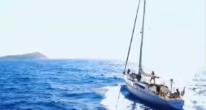 Η «Γυναικεία Οδύσσεια» σαλπάρει για την προστασία της θαλάσσιας ζωής