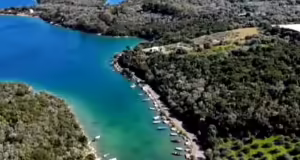 «Αμβρακικός-Ιστορίες ζωής»- Η σημασία της προστασίας ενός μοναδικού οικοσυστήματος