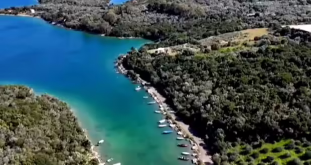 «Αμβρακικός-Ιστορίες ζωής»- Η σημασία της προστασίας ενός μοναδικού οικοσυστήματος