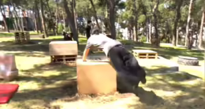 Θεσσαλονίκη: Parkour Jam στο πάρκο της Νέας Ελβετίας