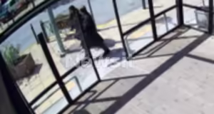 Μαρούσι: Ανθρωποκυνηγητό για τον εντοπισμό του άνδρα με την καπαρντίνα που παρενοχλεί ανήλικες