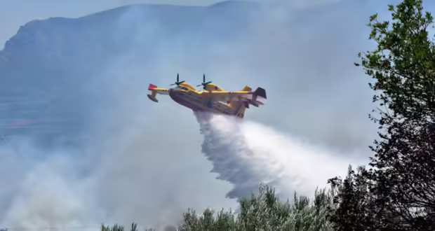 Βροχές στην αρχή του φετινού καλοκαιριού αναμένεται να κρατήσουν την υγρασία στα δάση– Προετοιμασία για την αντιπυρική περίοδο