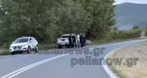 Πέλλα: Νεκρός 21χρονος σε σφοδρό τροχαίο – Το αυτοκίνητό του βρέθηκε εκτός δρόμου