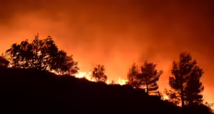 Στο έλεος μιας μεγάλης φωτιάς η Αθήνα φέτος το καλοκαίρι: «Η πόλη διαθέτει όλα τα στοιχεία για μία πυρκαγιά σαν του Λος Άντζελες»