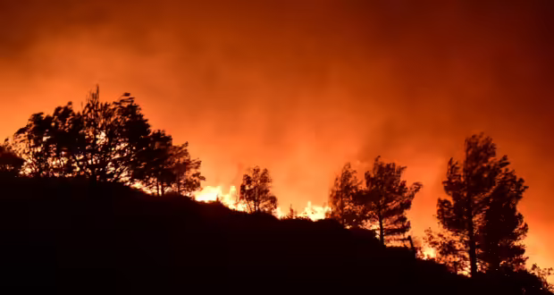 Στο έλεος μιας μεγάλης φωτιάς η Αθήνα φέτος το καλοκαίρι: «Η πόλη διαθέτει όλα τα στοιχεία για μία πυρκαγιά σαν του Λος Άντζελες»