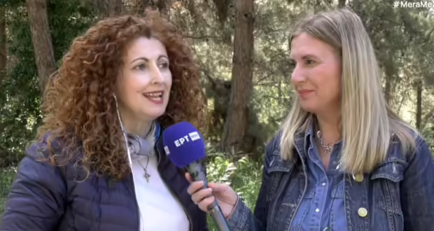 Θεσσαλονίκη: Υπό έλεγχο η προσβολή των περιαστικών δασών από το φλοιοφάγο έντομο