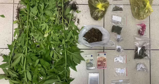 Πιερία: Χειροπέδες σε δύο για διακίνηση χασίς- Ο ένας καλλιεργούσε σαράντα πέντε δενδρύλλια κάνναβης