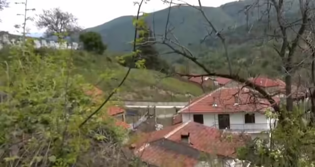 Άλωνα: Αγέλη λύκων σκότωσε ζαρκάδι μέσα στους δρόμους του χωριού