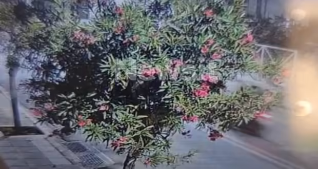 Άνω Λιόσια: Η στιγμή που οι δράστες κυνηγούν και «γαζώνουν» τη μαύρη Mercedes του 42χρονου bodybuilder – «Με πυροβόλησαν»