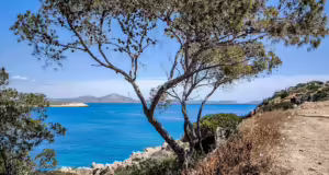 Ο καιρός αύριο: Στους 28 βαθμούς η θερμοκρασία – Βροχές στα ορεινά της Ηπείρου