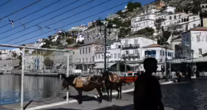 Ύδρα: Έλεγχοι για τα αυτοκίνητα που πλημμύρισαν το νησί παρά την απαγόρευση – Χειροπέδες σε 62χρονο