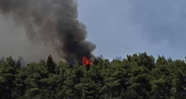 Φωτιά στη Ριτσώνα: Σκληρή μάχη με τις φλόγες δίνουν πάνω από 100 πυροσβέστες και 10 εναέρια μέσα – Συνελήφθη 28χρονος