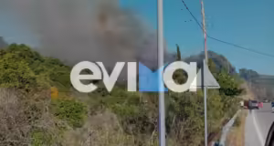 Μεγάλη φωτιά στην Εύβοια στον Αλμυροπόταμο – Εναέρια μέσα στην κατάσβεση