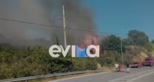 Εύβοια: Συνελήφθη 87χρονος για τη φωτιά – Κάπνιζε μελίσσια
