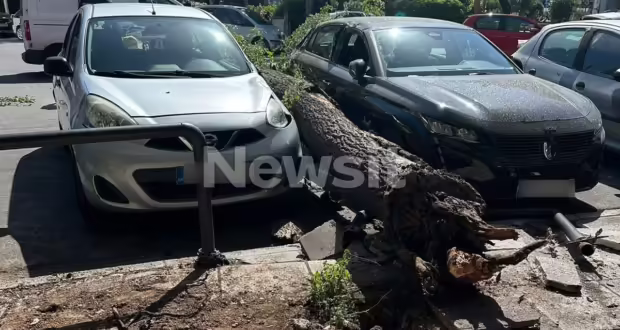 Παγκράτι: Δέντρο έπεσε ακριβώς ανάμεσα από 2 σταθμευμένα αυτοκίνητα