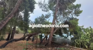 Κεραυνός χτύπησε το σπίτι του Κώστα Σημίτη στους Αγίους Θεοδώρους
