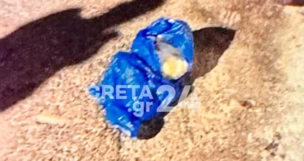 Ηράκλειο: Σε ψυχιατρική κλινική η 33χρονη που πέταξε το νεογέννητό της στα σκουπίδια – Παραμένει στο ΠΑΓΝΗ το βρέφος