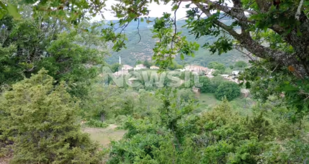 Τι υποστηρίζει ο Τούρκος μαφιόζος για τους πυροβολισμούς στη Θεσσαλονίκη: «Δεν γνώριζα πως ήταν άνδρες της ΕΥΠ, βρισκόμουν σε πανικό»