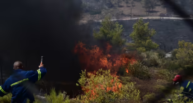Φωτιά στο Νεοχώρι Αργολίδας: Σηκώθηκαν αεροσκάφη, στη μάχη και 40 πυροσβέστες