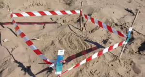 Εμφανίστηκαν οι πρώτες φωλιές Caretta – Caretta στην Ηλεία: Όλα όσα πρέπει να γνωρίζετε για την προστασία αυτής της μοναδικής χελώνας