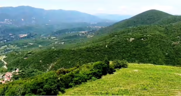 Τα βραβευμένα κρασιά της Ζίτσας