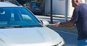 Βόλος: Ένα φίδι βγήκε από το καπό την ώρα που οδηγούσε