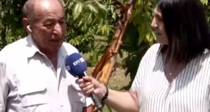 Μεσόβουνο Εορδαίας: Αγρότης βρέθηκε πρόσωπο με πρόσωπο με αρκούδα στο χωράφι