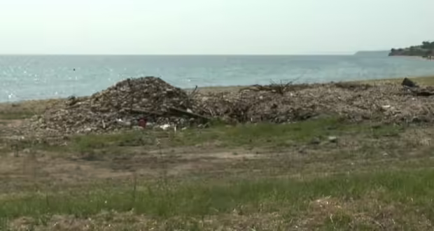 Χαλκιδική: «Βουνά» από φύκια στην παραλία της Ποτίδαιας