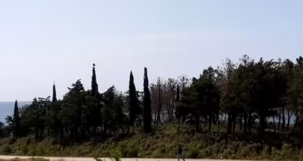 Κρυονέρι Ροδόπης: Ανάγκη για άμεσο καθαρισμό των δασικών εκτάσεων δίπλα στους οικισμούς
