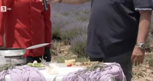 Φεστιβάλ λεβάντας στον Βάλτο Ορεστιάδας: Μία γιορτή με μεθυστικό άρωμα και βιολετί χρώμα